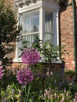 Images for Portland Street, Off Gillygate