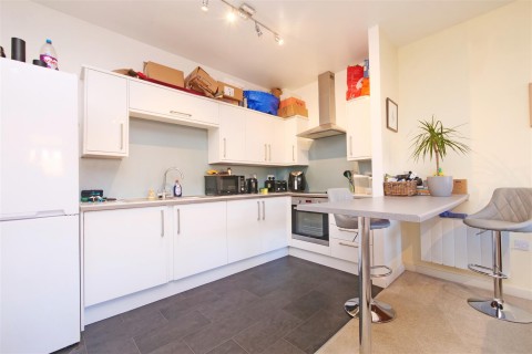 View Full Details for Halo, Amy Johnson Way