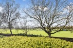 Images for Albemarle Road, York