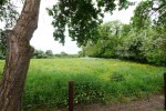 Images for Ebor Park, Appleton Roebuck