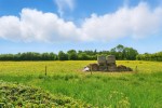 Images for The Cranbrooks, Wheldrake, York