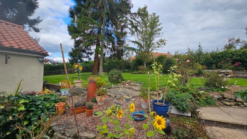 Images for The Nookin, Husthwaite, York