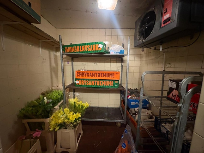 Images for 6, Bishopthorpe Road, York