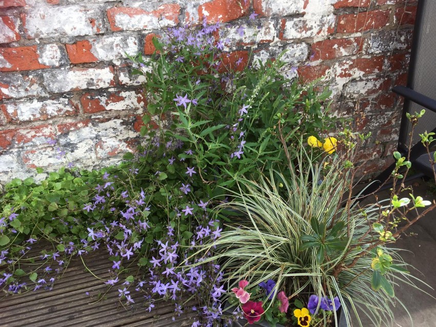 Images for Prices Lane, York