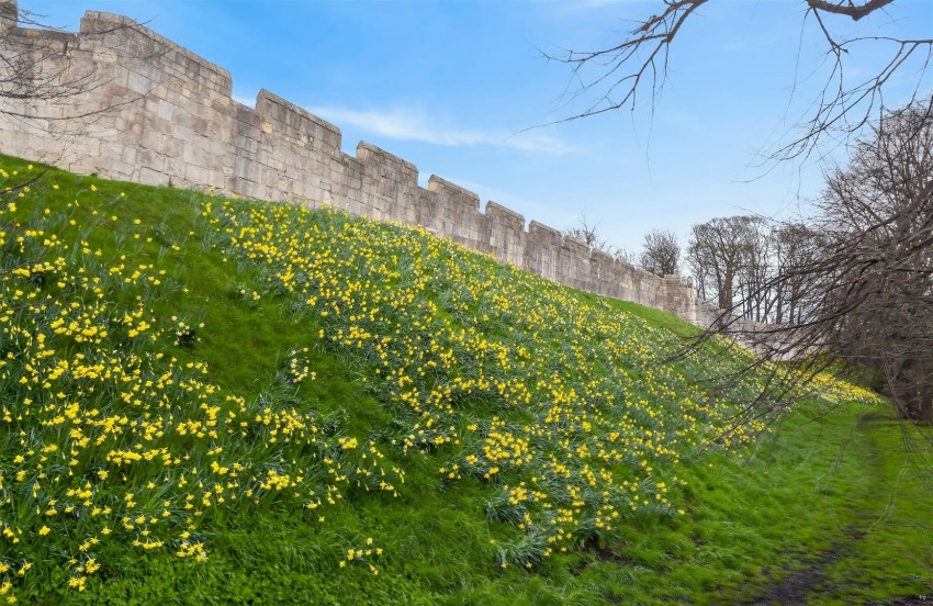 Images for Prices Lane, York