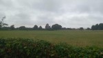 Images for Park Avenue, Barlow, Selby
