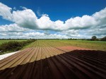 Images for Moor Lane, Myton On Swale, York