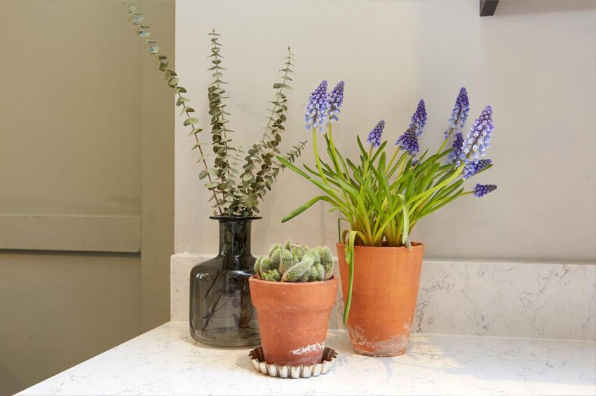 Images for Lower Ebor Street, Clementhorpe